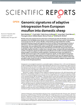 Genomic Signatures of Adaptive Introgression from European