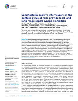 Somatostatin-Positive Interneurons in the Dentate Gyrus of Mice Provide