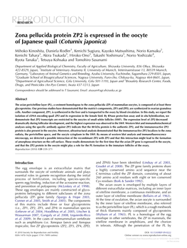 Zona Pellucida Protein ZP2 Is Expressed in the Oocyte of Japanese Quail (Coturnix Japonica)
