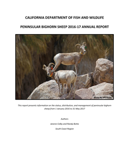 Peninsular Bighorn Sheep 2016-17 Annual Report