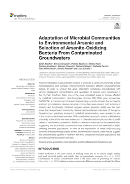 Adaptation of Microbial Communities to Environmental Arsenic and Selection of Arsenite-Oxidizing Bacteria from Contaminated Groundwaters