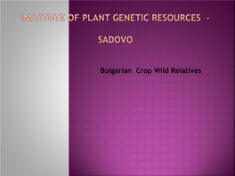 Bulgarian Crop Wild Relatives Bulgarian CWR Are Preserved in the Botanical Garden and in the National Genebank