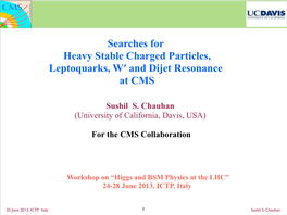 Searches for Heavy Stable Charged Particles, Leptoquarks, W′ and Dijet Resonance at CMS