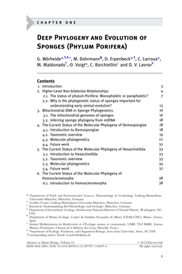 Deep Phylogeny and Evolution of Sponges (Phylum Porifera)