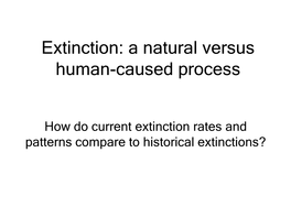 Natural Extinctions: Rates and Processes