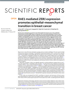 RAE1 Mediated ZEB1 Expression Promotes Epithelial–Mesenchymal