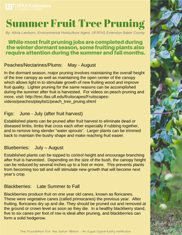 Summer Fruit Tree Pruning