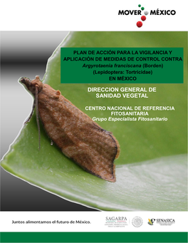 PLAN DE ACCIÓN PARA LA VIGILANCIA Y APLICACIÓN DE MEDIDAS DE CONTROL CONTRA Argyrotaenia Franciscana (Borden) (Lepidoptera: Tortricidae) EN MÉXICO