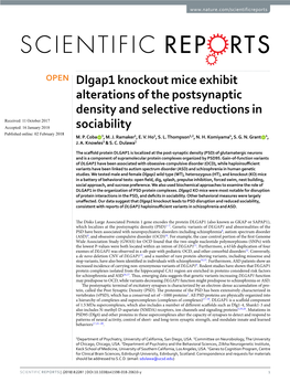 Dlgap1 Knockout Mice Exhibit Alterations of the Postsynaptic