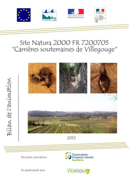 Site Natura 2000 FR7200705 « Carrières Souterraines De Villegouge »