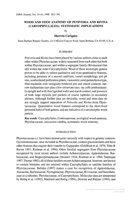 Wood and Stem Anatomy of Petiveria and Rivina