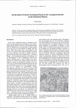 On the Find of Triassic Brachiopod Fauna in the Variegated Micrites on the Dachstein Plateau