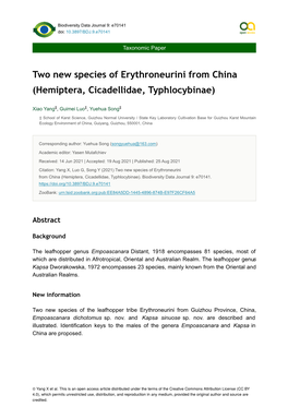 Two New Species of Erythroneurini from China (Hemiptera, Cicadellidae, Typhlocybinae)