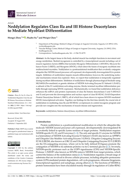 Neddylation Regulates Class Iia and III Histone Deacetylases to Mediate Myoblast Differentiation