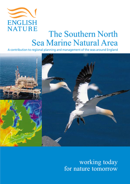 Southern North Sea Marine Natural Area a Contribution to Regional Planning and Management of the Seas Around England