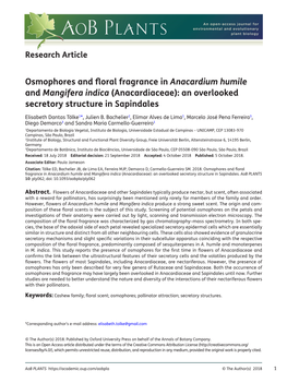 Osmophores and Floral Fragrance in Anacardium Humile and Mangifera Indica (Anacardiaceae): an Overlooked Secretory Structure in Sapindales