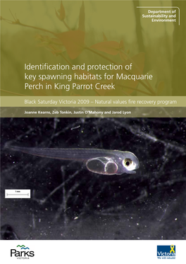 Identification and Protection of Key Spawning Habitats for Macquarie Perch in King Parrot Creek