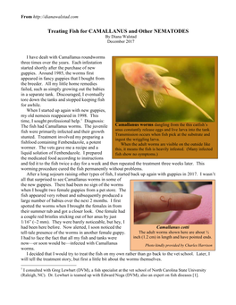 Treating Fish for CAMALLANUS and Other NEMATODES by Diana Walstad December 2017