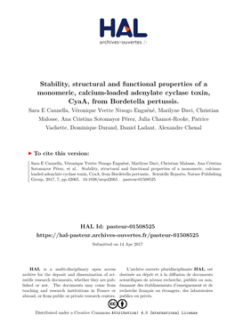 Stability, Structural and Functional Properties of a Monomeric, Calcium-Loaded Adenylate Cyclase Toxin, Cyaa, from Bordetella Pertussis