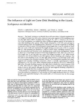 The Influence of Light on Cone Disk Shedding in the Lizard, Sceloporus Occidentalis