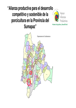 “Alianza Productiva Para El Desarrollo Competitivo Y Sostenible De La Porcicultura En La Provincia Del Sumapaz”