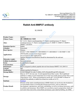 Rabbit Anti-MMP27 Antibody-SL18965R