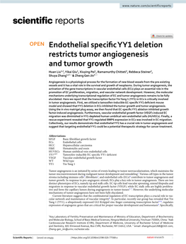 Endothelial Specific YY1 Deletion Restricts Tumor Angiogenesis And