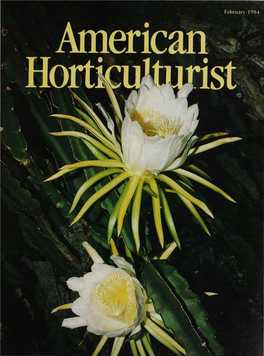 New Plants for 1984 by the Staff of American Horticulturist 14 Container Plants for Wintry Terraces by Linda Yang 20