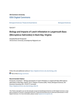 Biology and Impacts of Leech Infestation in Largemouth Bass (Micropterus Salmoides) in Back Bay, Virginia