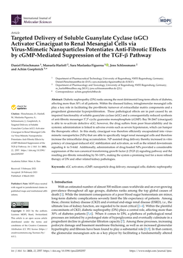 Sgc) Activator Cinaciguat to Renal Mesangial Cells Via Virus-Mimetic Nanoparticles Potentiates Anti-Fibrotic Effects by Cgmp-Mediated Suppression of the TGF-Β Pathway