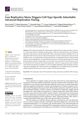 Low Replicative Stress Triggers Cell-Type Specific Inheritable