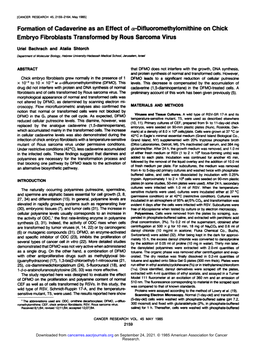 Formation of Cadaverine As an Effect of A-Difluoromethylornithine on Chick Embryo Fibroblasts Transformed by Rous Sarcoma Virus