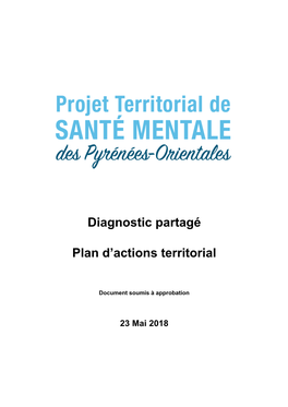 Diagnostic Partagé Plan D'actions Territorial