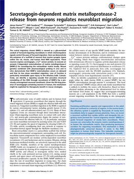 Secretagogin-Dependent Matrix Metalloprotease-2 Release from Neurons Regulates Neuroblast Migration