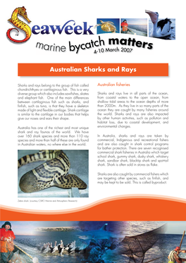 Australian Sharks and Rays