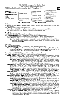 YEARLING, Consigned by Barton Stud the Property of Brightwalton Stud Will Stand at Park Paddocks, Left Yard, Box 603