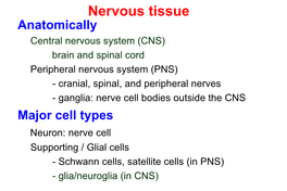 Guillain-Barre Syndrome (GBS)