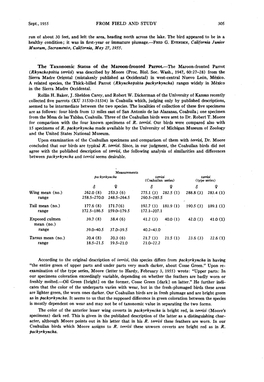 The Taxonomic Status of the Maroon-Fronted Parrot.-The Maroon-Fronted Parrot (Rhynchopsitta Terrki) Was Describedby Moore (Proc