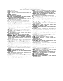 Glossary of Botanical Terms Used in the Poaceae Adapted from the Glossary in Flora of Ethiopia and Eritrea, Vol