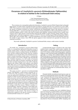 Occurrence of Amphipholis Squamata (Echinodermata: Ophiuroidea) In