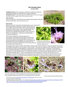 The-Weekly-Plant-11Nov2012.Pdf