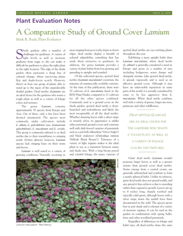 A Comparative Study of Ground Cover Lamium Mark R