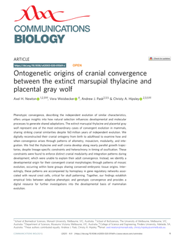 Ontogenetic Origins of Cranial Convergence Between the Extinct Marsupial Thylacine and Placental Gray Wolf ✉ ✉ Axel H