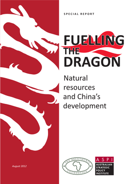 Natural Resources and China's Development