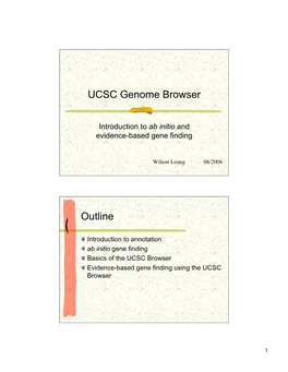 UCSC Genome Browser Outline