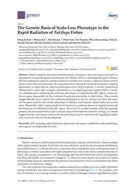 The Genetic Basis of Scale-Loss Phenotype in the Rapid Radiation of Takifugu Fishes