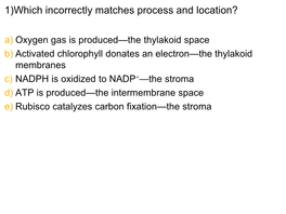 A) Thylakoid Membrane