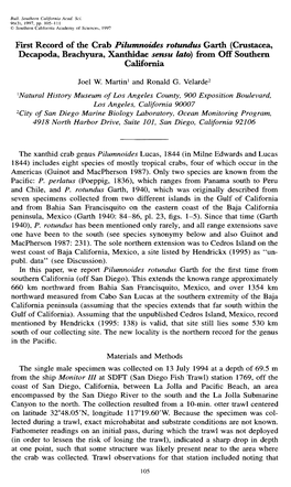 First Record of the Crab Pilumnoides Rotundus Garth (Crustacea, Decapoda, Brachyura, Xanthidae Sensu Lata) from Off Southern California