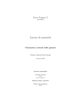 Lavoro Di Maturità