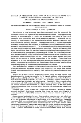 EFFECT of PERIODATE OXIDATION on HEMAGGLUTINATING and Viously Unsuspected Glycoproteins, and That Virus-Erythrocyte Union May In